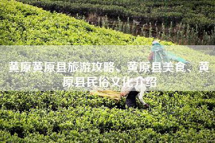 黄原黄原县旅游攻略、黄原县美食、黄原县民俗文化介绍