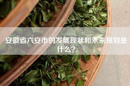 安徽省六安市的发展现状和未来规划是什么？