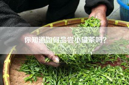 你知道如何品尝小罐茶吗？