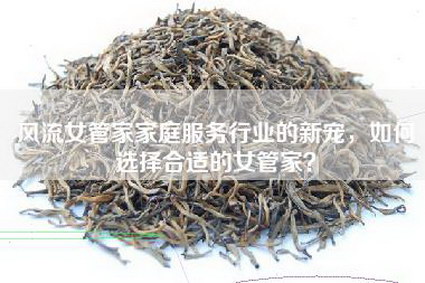风流女管家家庭服务行业的新宠，如何选择合适的女管家？
