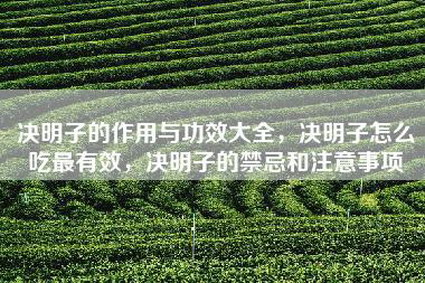 决明子的作用与功效大全，决明子怎么吃最有效，决明子的禁忌和注意事项