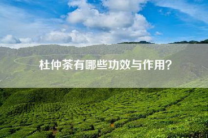 杜仲茶有哪些功效与作用？