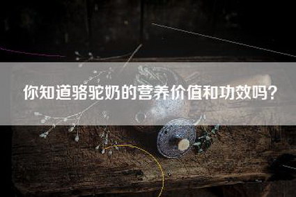 你知道骆驼奶的营养价值和功效吗？