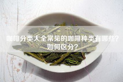 咖啡分类大全常见的咖啡种类有哪些？如何区分？