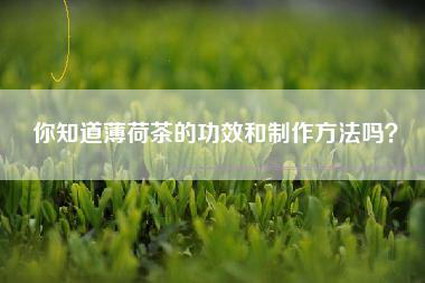 你知道薄荷茶的功效和制作方法吗？