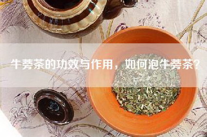 牛蒡茶的功效与作用，如何泡牛蒡茶？