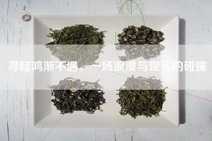 寻陆鸿渐不遇，一场浪漫与现实的碰撞
