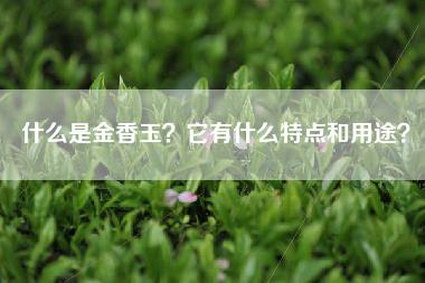什么是金香玉？它有什么特点和用途？
