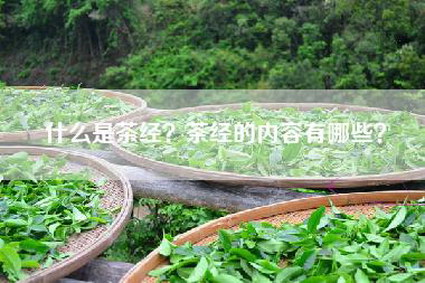 什么是茶经？茶经的内容有哪些？