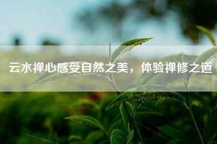 云水禅心感受自然之美，体验禅修之道