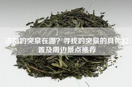 济南趵突泉在哪？寻找趵突泉的具体位置及周边景点推荐