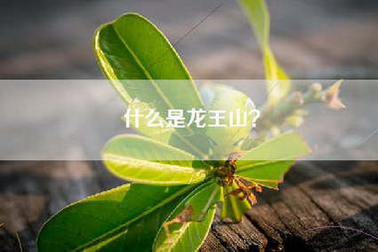 什么是龙王山？
