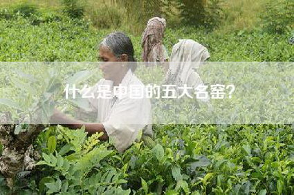 什么是中国的五大名窑？