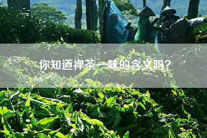 你知道禅茶一味的含义吗？