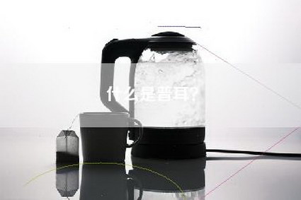 什么是普耳？
