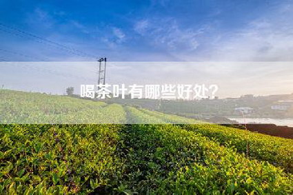 喝茶叶有哪些好处？