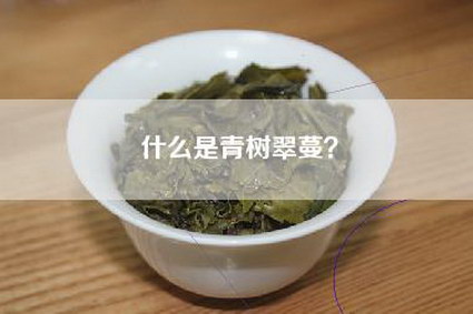 什么是青树翠蔓？
