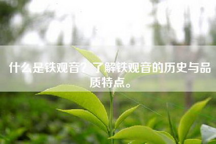 什么是铁观音？了解铁观音的历史与品质特点。