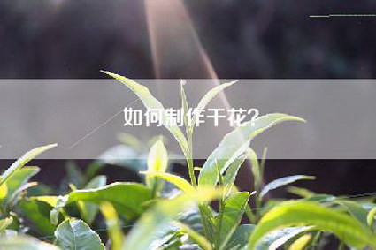如何制作干花？