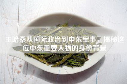 王哈桑从国际政治到中东军事，揭秘这位中东重要人物的身份背景