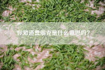 你知道蠢朋克是什么意思吗？