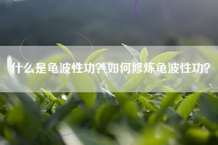 什么是龟波性功？如何修炼龟波性功？