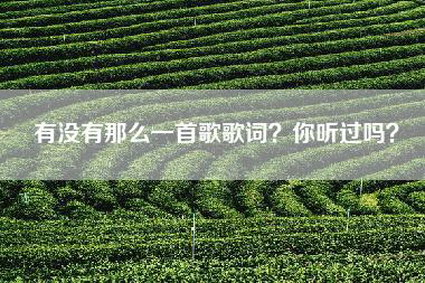 有没有那么一首歌歌词？你听过吗？