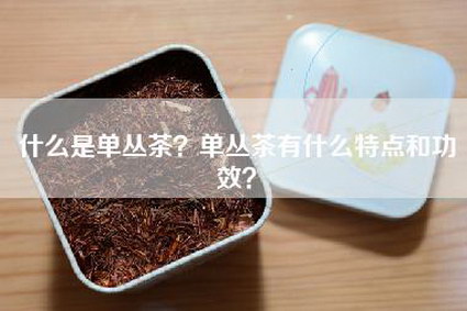 什么是单丛茶？单丛茶有什么特点和功效？