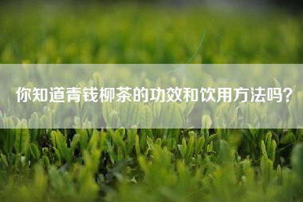 你知道青钱柳茶的功效和饮用方法吗？