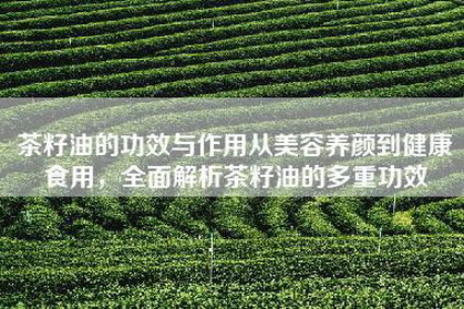 茶籽油的功效与作用从美容养颜到健康食用，全面解析茶籽油的多重功效