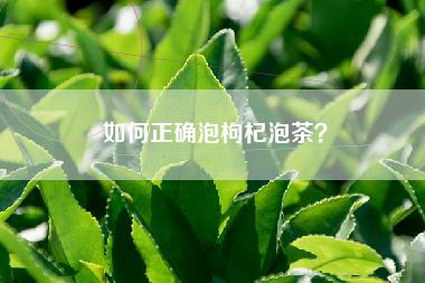 如何正确泡枸杞泡茶？