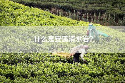 什么是安溪清水岩？