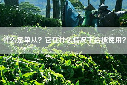 什么是单从？它在什么情况下会被使用？