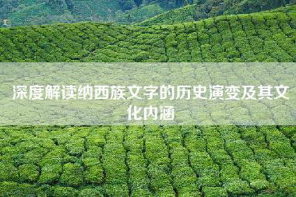 深度解读纳西族文字的历史演变及其文化内涵