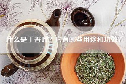 什么是丁香叶？它有哪些用途和功效？