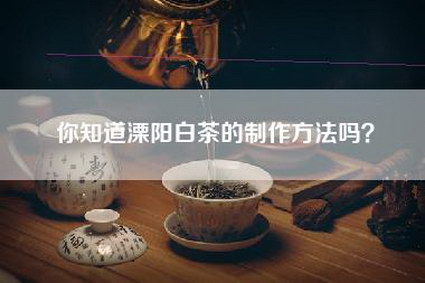 你知道溧阳白茶的制作方法吗？