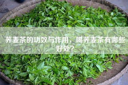 荞麦茶的功效与作用，喝荞麦茶有哪些好处？