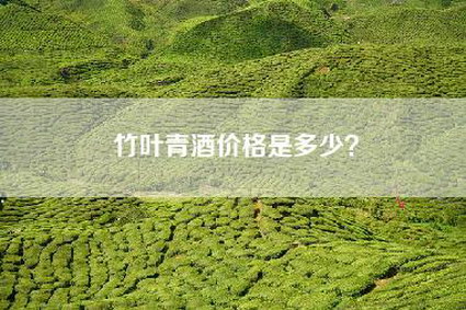 竹叶青酒价格是多少？