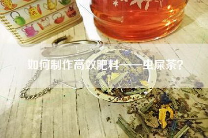 如何制作高效肥料——虫屎茶？