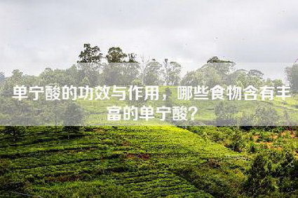 单宁酸的功效与作用，哪些食物含有丰富的单宁酸？