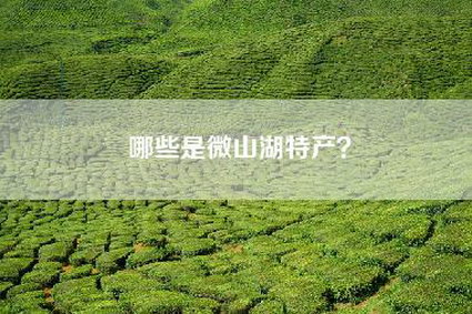 哪些是微山湖特产？