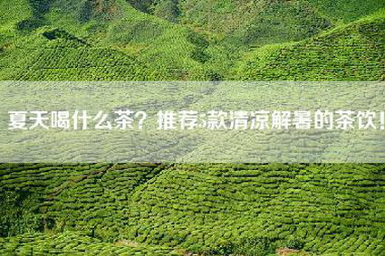 夏天喝什么茶？推荐5款清凉解暑的茶饮！