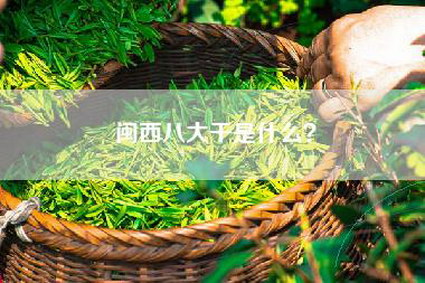 闽西八大干是什么？