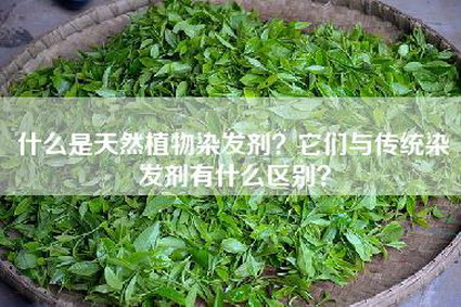 什么是天然植物染发剂？它们与传统染发剂有什么区别？