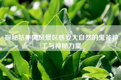 探秘牯牛降风景区感受大自然的鬼斧神工与神秘力量