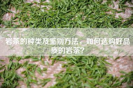 岩茶的种类及鉴别方法，如何选购好品质的岩茶？