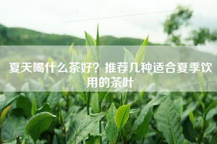 夏天喝什么茶好？推荐几种适合夏季饮用的茶叶