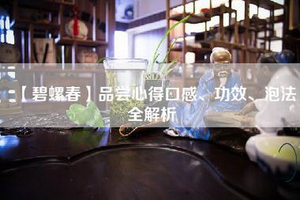 【碧螺春】品尝心得口感、功效、泡法全解析