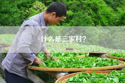 什么是三家村？