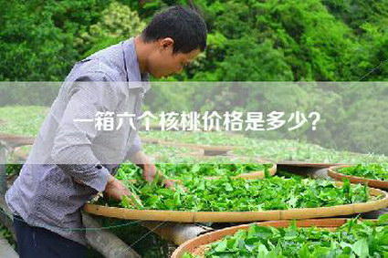 一箱六个核桃价格是多少？